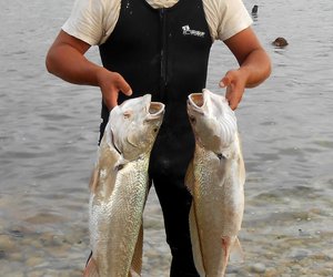 Mooi vangs by Uilenkraalsmond